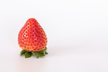 Large ripe strawberries isolated on white background