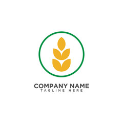 Agriculture wheat Logo Template vector icon design