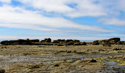 Fototapeta na wymiar Rocky coast in the Pacific-Rim-Nationalpark, Vancouver Island, North-America, Canada, British Colombia, August 2015