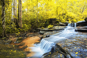 Pure waterfall in a summer forest.