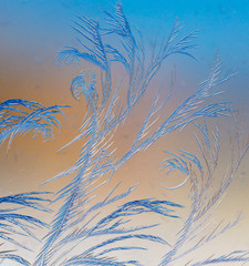Natural pattern on glass at dawn of the sun.