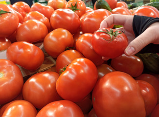 a bunch of tomatoes in a store in boxes