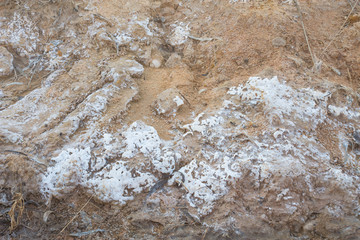 Obraz na płótnie Canvas Salty soil