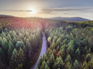 Aerial nature scenic landscape of pine trees and driving road in summer. Top view of dark green forest in mountain at sunset.