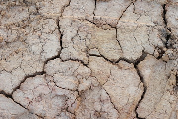 dry soil cracked earth texture