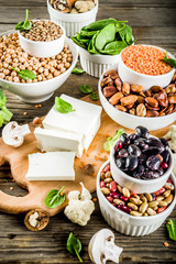 Vegan plant protein sources