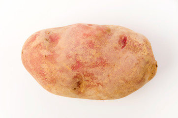 紅じゃがいも 土つき