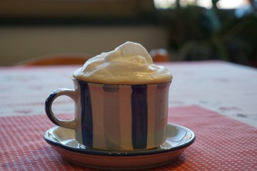 Cup of homemade Italian cappuccino