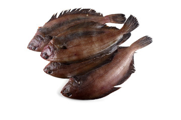 Korean flounder