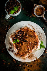 Homemade dessert tiramisu on plate