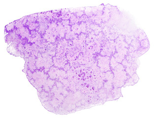 Watercolor purple grunge stain element. Watercolor texture on paper photo on a white background isolated