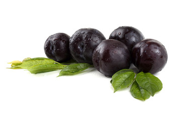 Black plums and leaves
