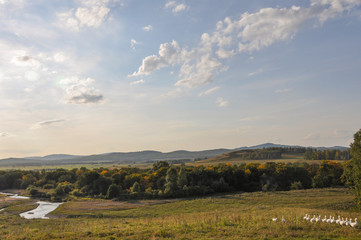 Light white clouds in the warm summer sky over village with small houses far away in the fields....