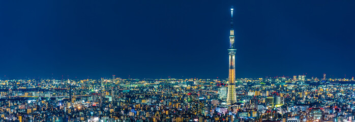 Night view of Tokyo Japan ~ 池袋から見た東京の夜景 ~