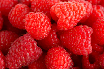 Macro shot of freshly picked organic raspberries. High resolution
