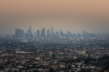 Fototapeta premium Los Angeles downtown view from Griffith Observatory, California, United States.