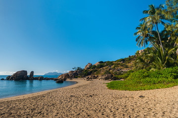 Bowen beach with palms tropical Australia