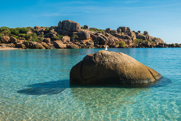Sea gull on a rock turquoise water Australia