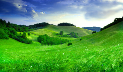 Fototapeta na wymiar Green hills amazing landscape 