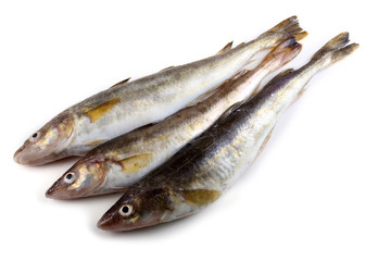 Safron cod fish