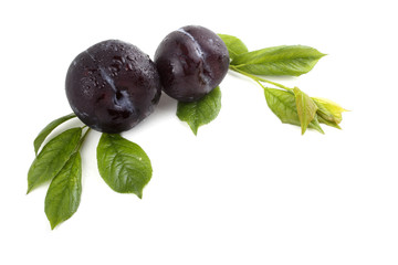 Black plums and leaves