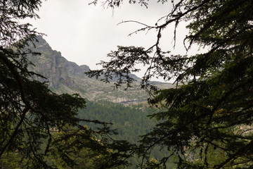 Mountain from the woods