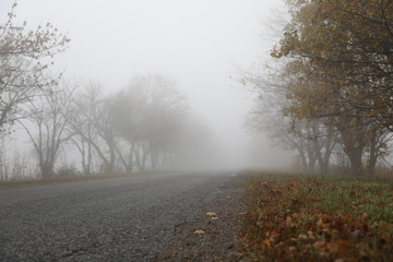 Obraz na płótnie Canvas Fog and road in autumn time