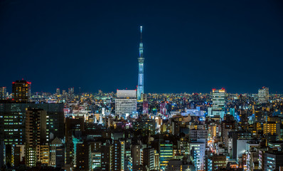 Fototapeta na wymiar Night view of Tokyo JAPAN ~ 東京の夜景 スカイツリー ~