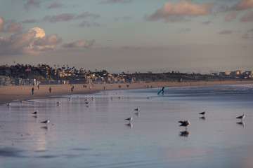 View from Santa Monica beach in Los Angeles, California, United States.