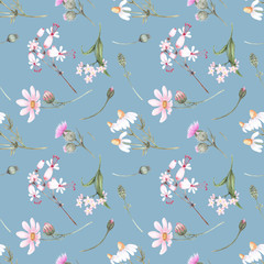 Seamless watercolor pattern with the image of beautiful wildflowers - daisies, thistles, forget-me-nots, on a blue background.