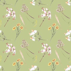 Seamless watercolor pattern with the image of beautiful wildflowers on a green background.