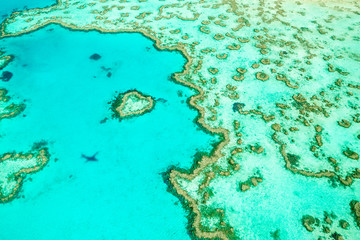 Fototapeta na wymiar Great Barrier Reef Heart Reef Australia
