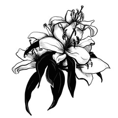  illustration of a flower