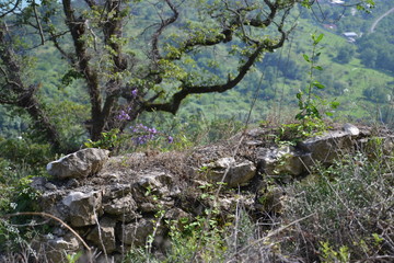 Abkhazia - Абхазия