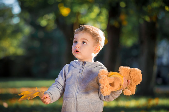 Boy face, autumn, gray jumper, toy dog