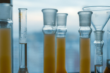 Closeup a long row of glass flasks with a yellow solution on a laboratory bench.