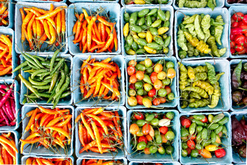 Top view of boxes with assorted multicolored chili peppers - World food concept with variation of...