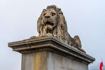 Lion on Chain Bridge on the Danube River in Budapest, Hungary