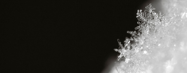 Macro photo of a snowflake with a large blank background