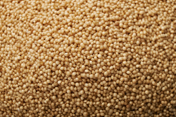 Raw organic amaranth grain in a bowl