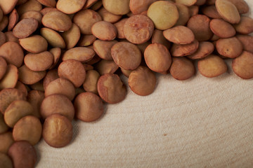 Green lentils on a white background top view. Raw lentils laid out in the shape of a circle.