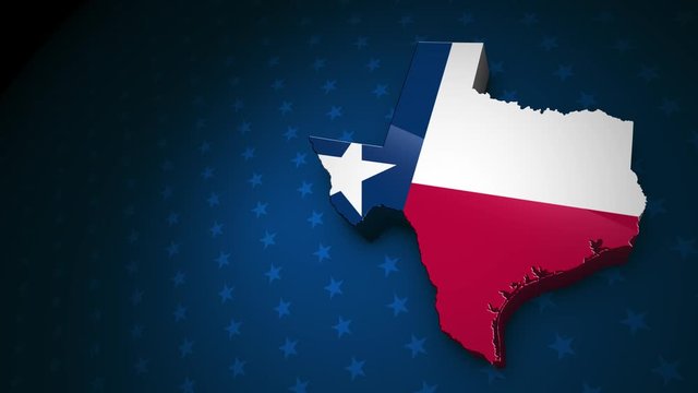 Texas State Election Background 02