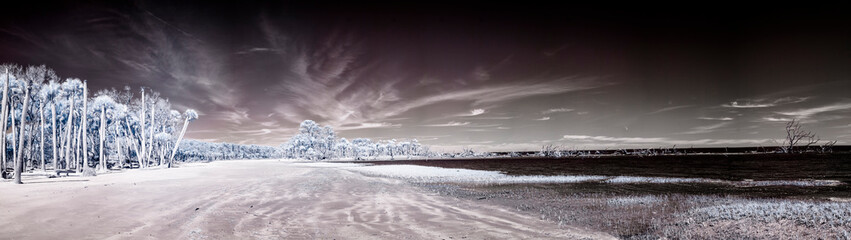 False color infrared panorama of tropical forest and beach, good alien landscape shot
