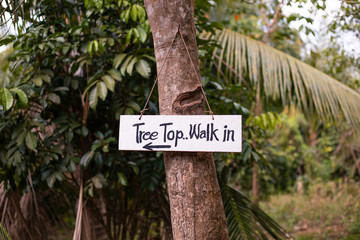 Fototapeta premium sign in the jungle with the inscription
