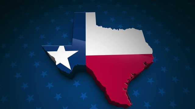 Texas State Election Background 06