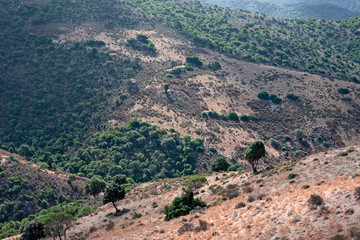 Fototapeta na wymiar Panoramic view of a landscape with the vivid colors of the Mediterranean maquis, in Sardinia, Italy.