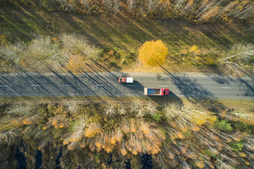 Aerial view of road in forest.