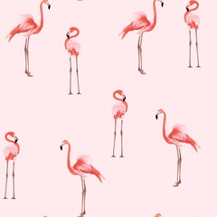Pink flamingo, pink background. Floral seamless pattern. Tropical illustration. Exotic  birds. Summer beach design. Paradise nature.
