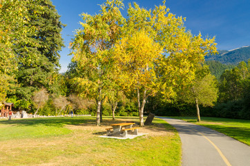 Green city park in Whistler, Vancouver, Canada.