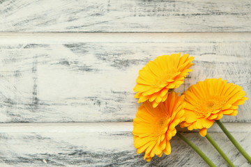 Yellow Gerbera flower on white painted wooden background. space for text. Flowers design. Beautiful, botanical background.